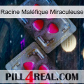 Racine Maléfique Miraculeuse 15